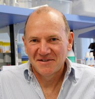 Professor Wayne Tilley Professor Wayne Tilley
