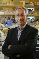 Dr Graeme Boniface Dr Graeme Boniface
