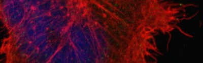 home-banner-6.jpg