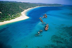 Tangalooma Wrecks
